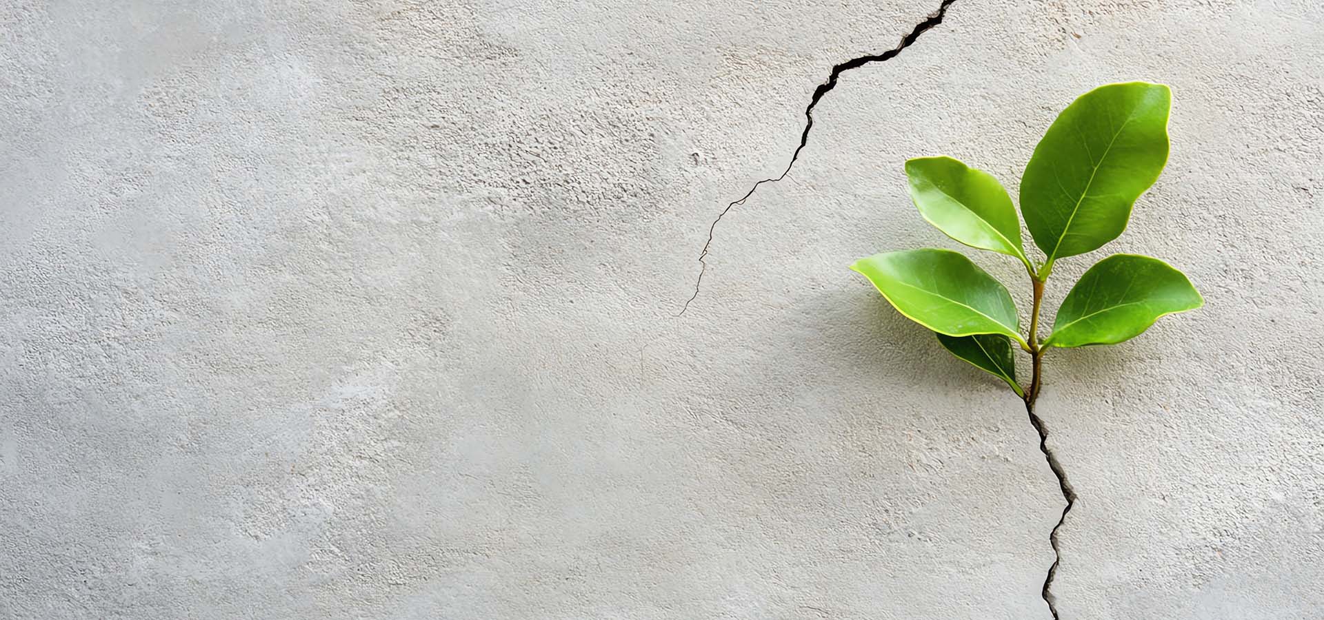 Resilience & stress Management